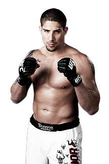Brendan Schaub MMA Fighter