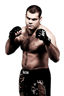 Gabriel Gonzaga MMA Fighter