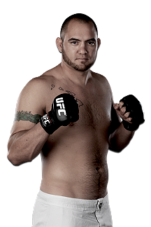 Travis Browne MMA Fighter