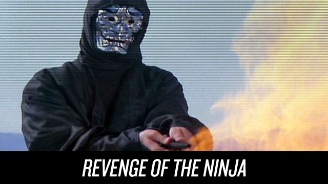 Watch Revenge of the Ninja on Netflix Instant