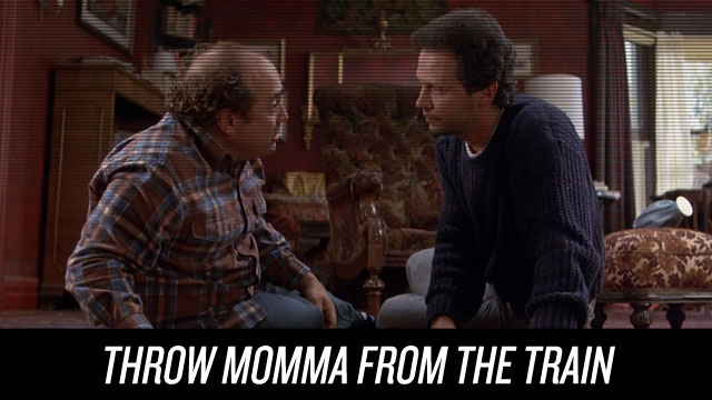Watch Throw Momma From The Train on Netflix Instant