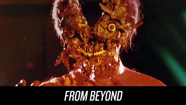Watch From Beyond on Netflix Instant
