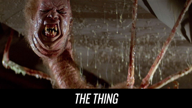 Watch The Thing on Netflix Instant