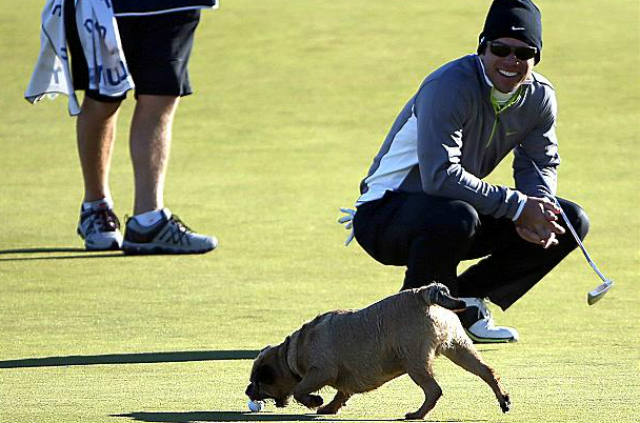 Michael Phelps, Paul Casey, golf, dog