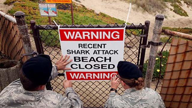 Shark attack, Santa Barbara, Lompoc, Vandenberg Air Base.