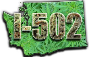 washington marijuana legalization