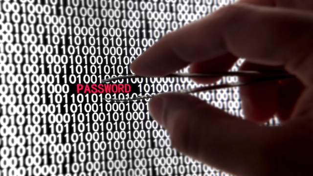 Hackers Analyzing Passwords