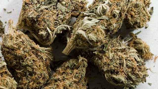 Marijuana, Marijuana Delivered to Kmart, Kmart