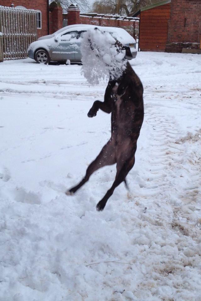 catching a snowball