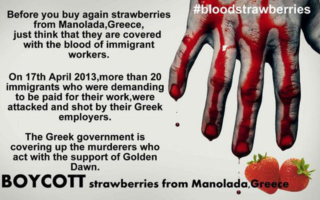 manolada, blood, strawberry, strawberries, migrant, workers, bloodstrawberries