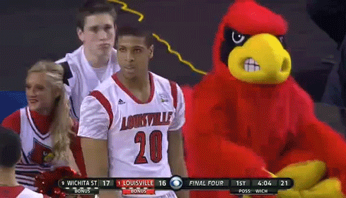 Cardinal Bird shaking head, Louisville Mascot shaking his head.