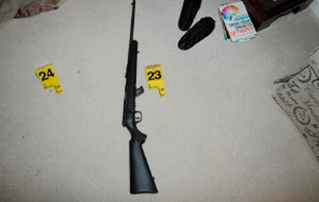 Adam Lanza Nancy Lanza murder weapon 