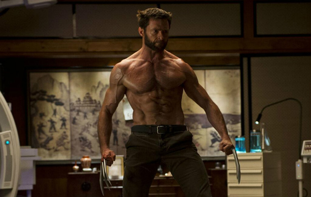 The Wolverine 2