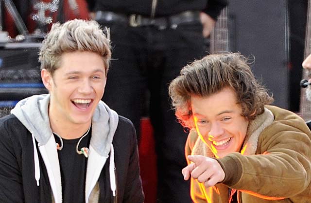 Niall Horan and Harry Styles of One Direction (Getty)