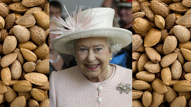 queen elizabeths nuts 