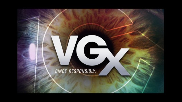 VGX 2013 