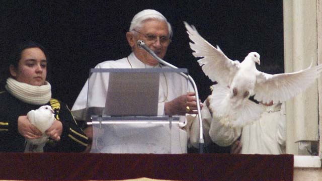 pope francis, dove, seagull, crow