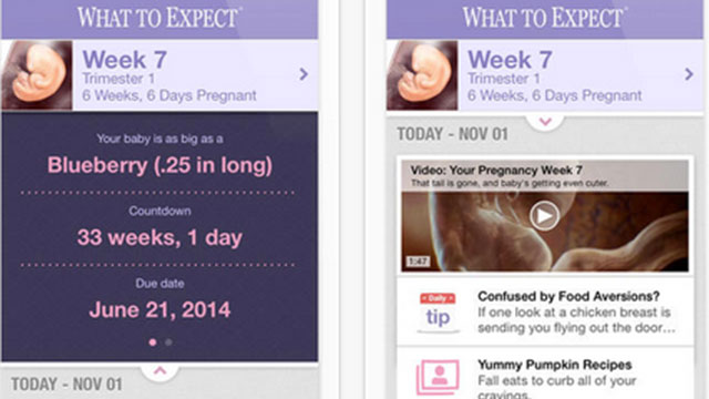 what to expect pregnancy iphone app
