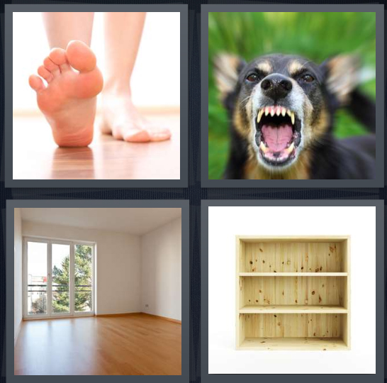 4 Pics 1 Word Answer 4 letters for feet on floor, dog showing teeth, empty room, empty bookshelf