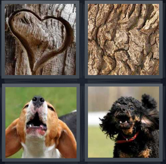 4 Pics 1 Word Answer 4 letters for heart carved into tree, tree, dog howling, dog with mouth open