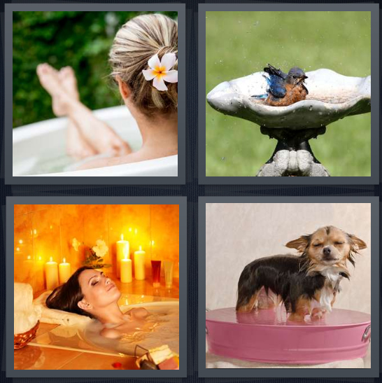 4 Pics 1 Word Answer 4 letters for woman with flower in water, bird washing, woman soaking in tub with candles, wet dog in basin