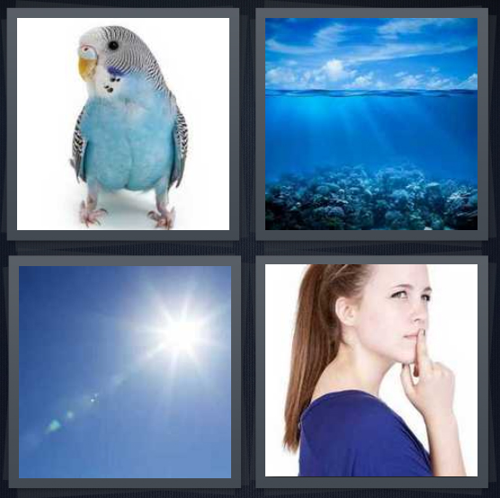 4 Pics 1 Word Answer 4 letters for parrot on white background, underwater view, sunburst in sky, girl thinking