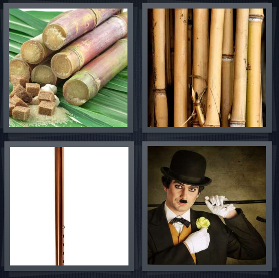 4 Pics 1 Word Answer 4 letters for cut live bamboo trees, dried bamboo stalks, walking stick, Charlie Chaplin