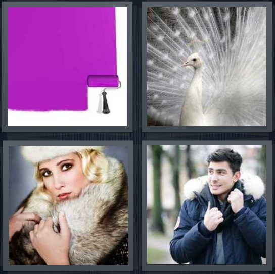 4 Pics 1 Word Answer 4 letters for purple paint on wall, white peacock, woman in fur, man pulling hood up