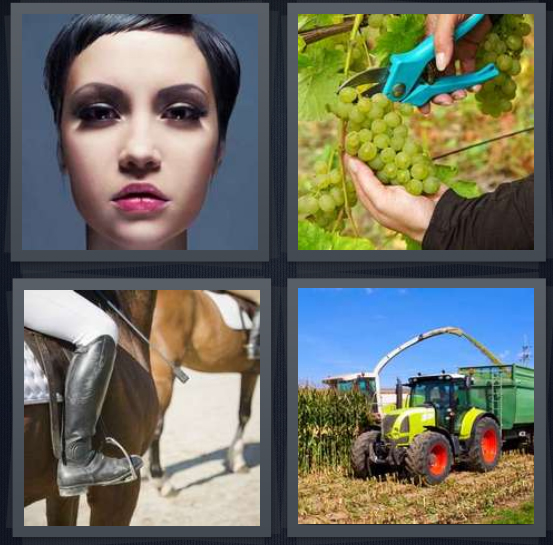4 Pics 1 Word Answer 4 letters for woman with bob cut, person trimming grape plants, person riding horse with chaps, harvesting corn field