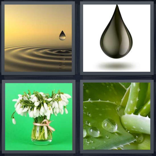 4 Pics 1 Word Answer 4 letters for puddle with water falling, oil, flowers wilting in vase, aloe with water