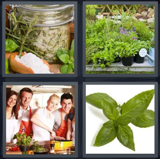 4 Pics 1 Word answers, 4 Pics 1 Word cheats, 4 Pics 1 Word 4 letters for rosemary in jar, potted plants, chefs in kitchen, basil sprig