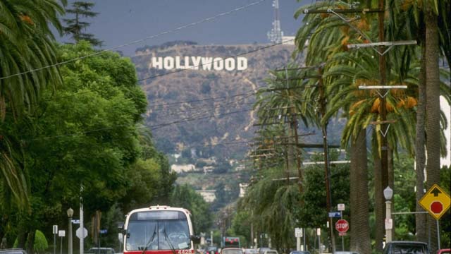Hollywood Hills Shooting