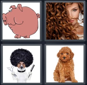 4 Pics 1 Word Answer for Pig, Hair, Afro, Dog 