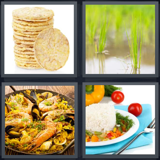 4 Pics 1 Word Answer 4 letters for dried cake, flooded patty, shrimp paella, starch with vegetables