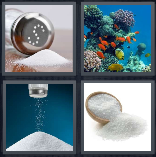 4 Pics 1 Word Answer 4 letters for shaker for table, coral reef in ocean, seasoning for food, white powder on white background