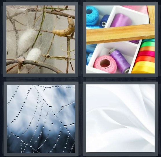 4 Pics 1 Word Answer 4 letters for worm cocoon in nature, thread in drawer, spider web with dew, white material
