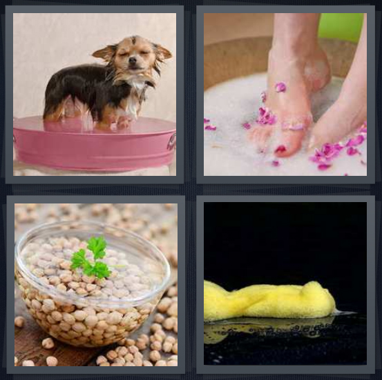 4 Pics 1 Word Answer 4 letters for dog in pink tub, woman feet pedicure, beans in water, wet yellow sponge on black background