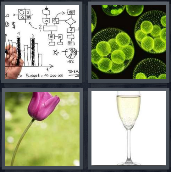 4 Pics 1 Word Answer 4 letters for black and white graph drawing, green bacteria through microscope, pink flower with green stalk, champagne flute