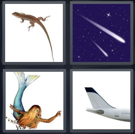 4 Pics 1 Word Answer 4 letters for brown lizard on white background, comet in space with stars, mermaid with blond hair, end of airplane