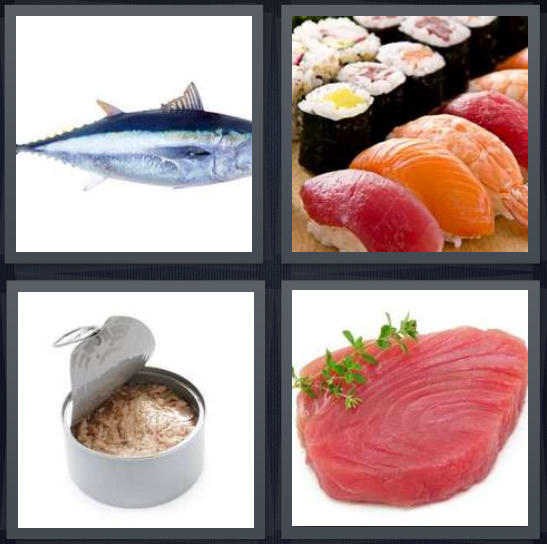 4 Pics 1 Word Answer 4 letters for fish with blue fins, sushi rolls with sashimi, can with fish for salad, fish steak