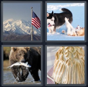 4 Pics 1 Word Answer 6 letters for American flag with snow capped mountains, Siberian Husky dog with puppy in snow, brown bear eating wild fish, meringue whipped pie