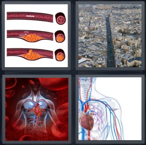 4 Pics 1 Word Answer 6 letters for vein with red blood inside cross section, major thruway in city from above, blood in human body, heart with circulatory system