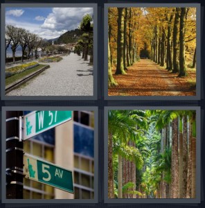 4 Pics 1 Word Answer 6 letters for sidewalk along lake on nice day, path in forest with yellow leaves, New York intersection, palm trees lining street