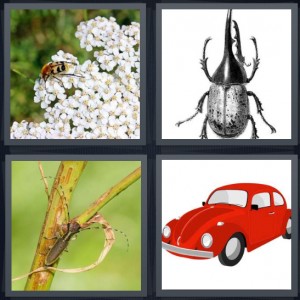4 Pics 1 Word Answer 6 letters for insect on white flower bush, black bug with large pinchers, bug on branch with long antennae, Volkswagon red car