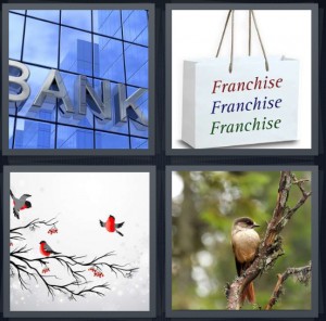 4 Pics 1 Word Answer 6 letters for bank with glass wall, bag with franchise on it, cartoon cardinals with red bellies on tree, bird resting on tree twig