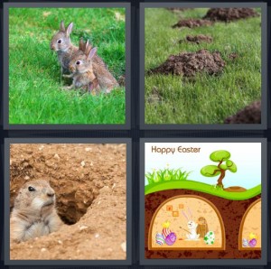 4 Pics 1 Word Answer 6 letters for rabbits in wild field, mole hills in grass, prairie dog with head out of hole, Happy Easter card cartoon