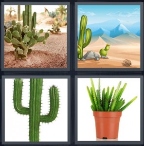 4 Pics 1 Word Answer 6 letters for desert scape with plants, blue mountains in background of desert, Texas symbol, potted house plant