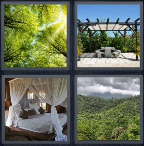 4 Pics 1 Word Answer 6 letters for trees with green leaves light overhead, porch with pergola and table, large antique bed with curtains forest jungle range
