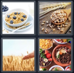 4 Pics 1 Word Answer 6 letters for oatmeal with blueberries, flax seeds on wooden spoon, field of wheat, grains in bowls