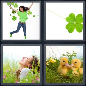 4 Pics 1 Word Answer 6 letters for girl wearing green jumping, four leaf lucky symbol, woman laying in field smiling, chicks in green grass